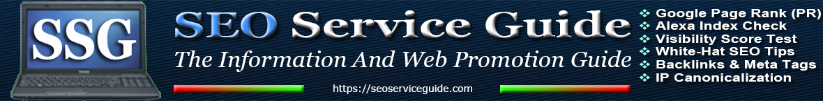 SEO Service Guide - The Information And Web Promotion Guide